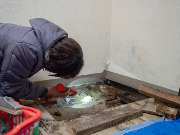 Best Biohazard Mold Removal  in Bridgeville, DE