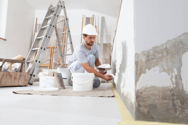 Best Real Estate Mold Inspection  in Bridgeville, DE