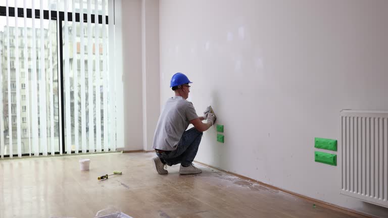 Best Black Mold Removal  in Bridgeville, DE